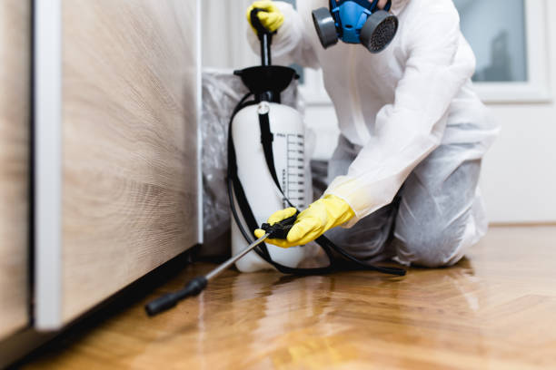 Best Exterminator Services  in Del Monte Forest, CA