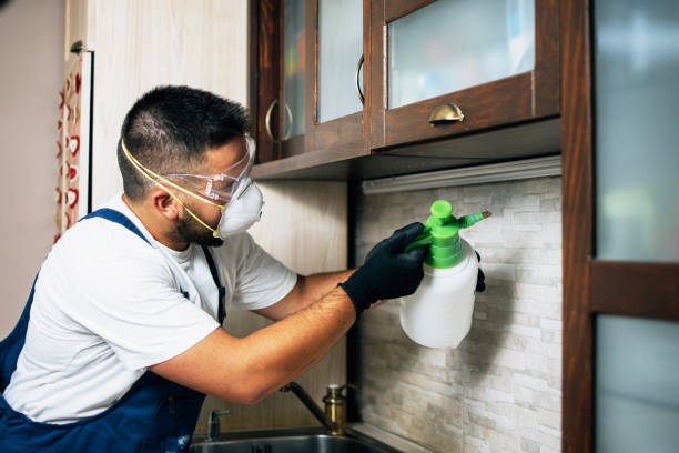 Wasp Removal Services in Del Monte Forest, CA