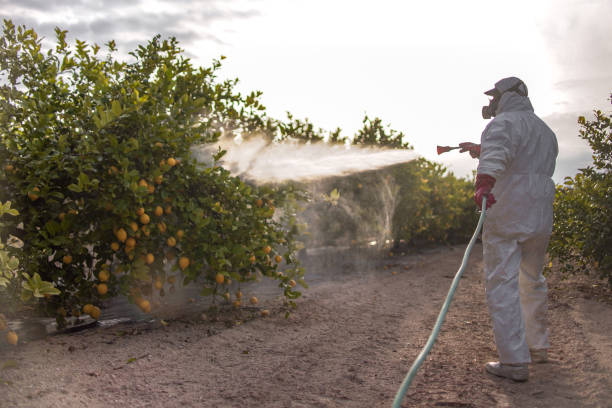 Best Cockroach Control Services  in Del Monte Forest, CA