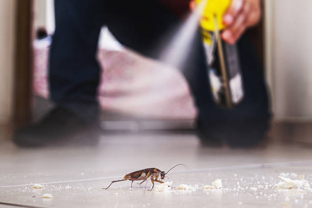 Best Best Pest Control Companies  in Del Monte Forest, CA