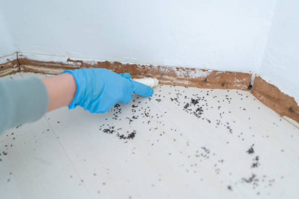 Best Wildlife Control Services  in Del Monte Forest, CA